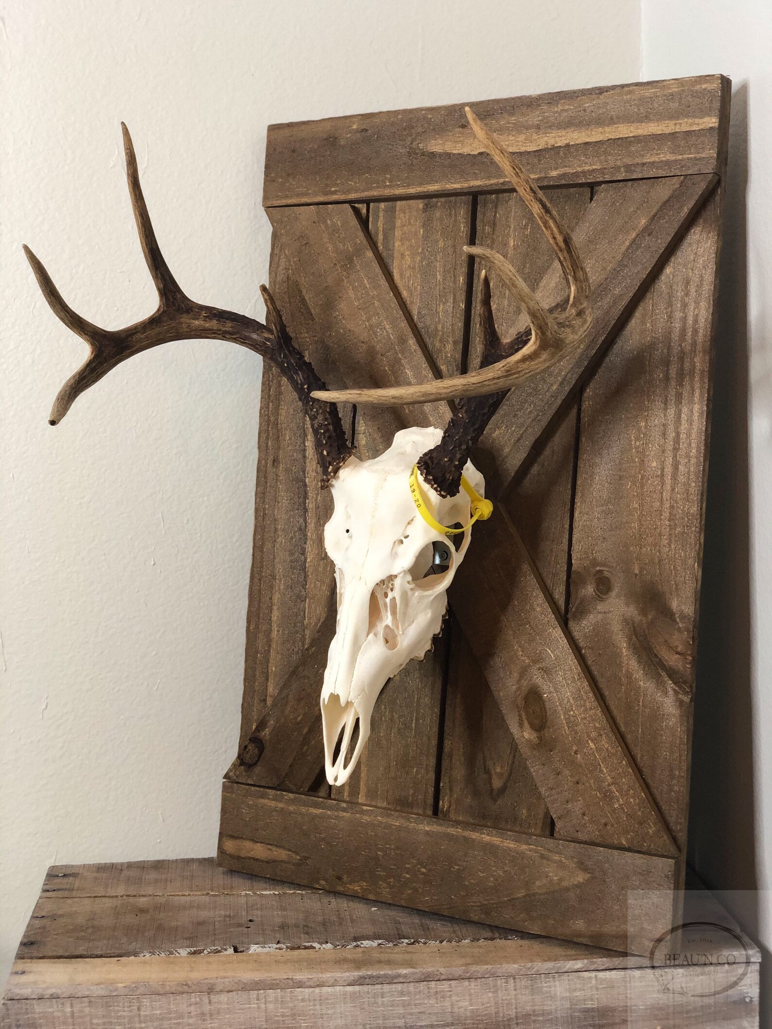 Rustic Barn Door Style Deer European Skull Mount Wood Plaque Etsy