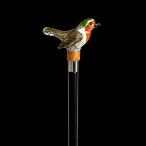 Könnte beinhalten: Ein Gehstock mit einem skulptierten Vogelgriff, der einen grünen Kopf, eine orangefarbene Brust und braune Flügel aufweist. Der Griff sitzt auf einem hellbraunen Holzring, gefolgt von einem silberfarbenen Metallband auf einem schwarzen Schaft.