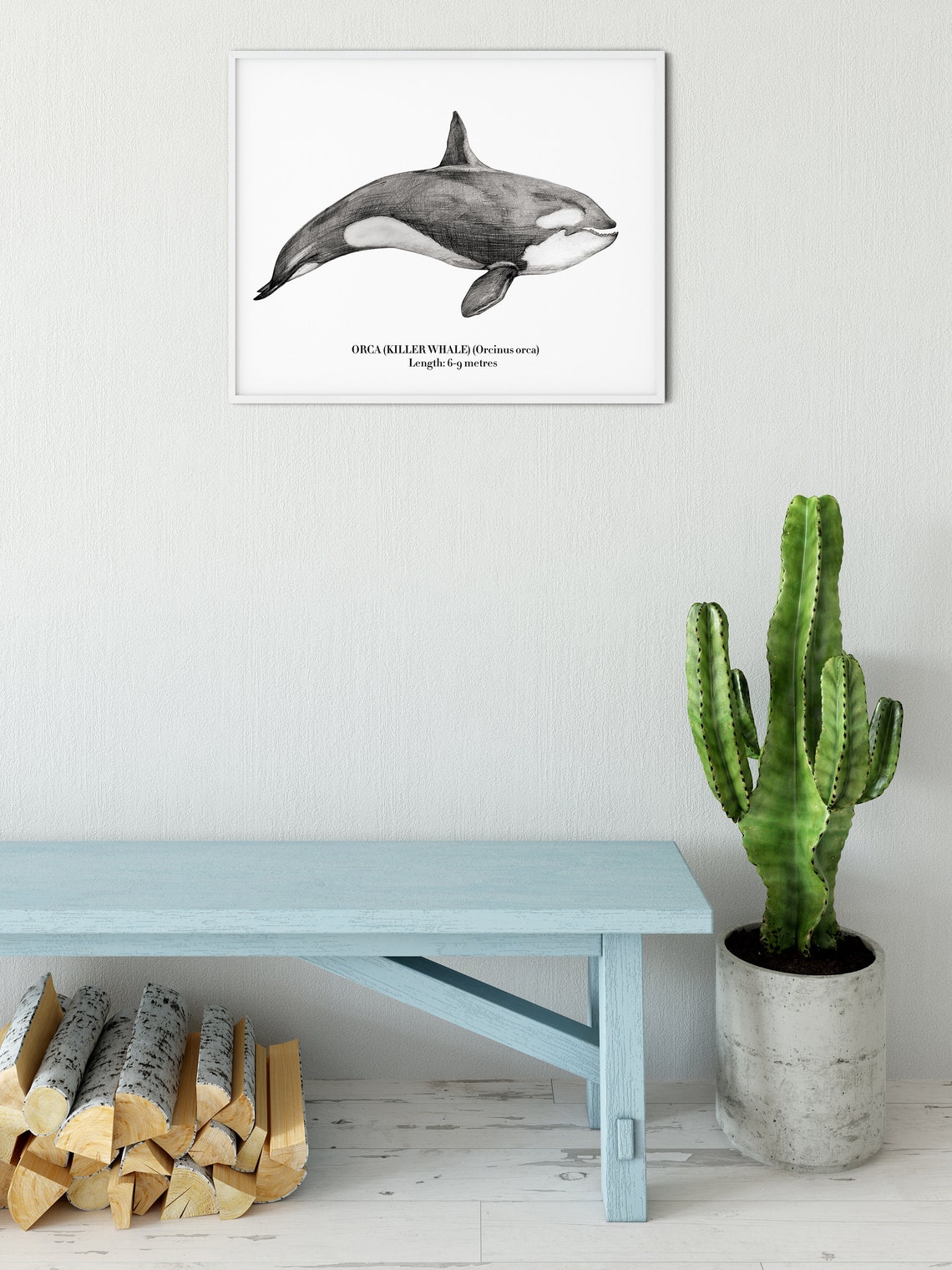 Art Print.killer Whale.iceland Whales.pencil - Etsy