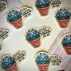 I’m a SUCCA for you!