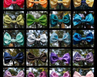 Single Interchangeable Bow