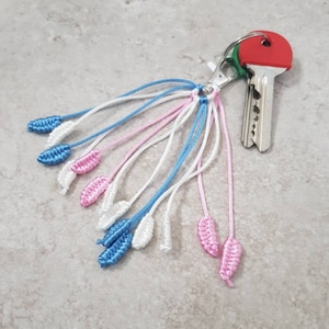 Puede incluir: Un llavero con un borla trenzada azul, rosa y blanca. La borla tiene pequeñas hojas anudadas al final de cada hebra. El llavero está unido a un llavero plateado con una llave roja y verde.