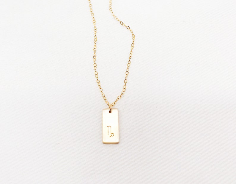 Zodiac Necklace 14k gold filled personalized necklace sterling silver Bar Necklace simple necklace monogram bar necklace tag nacklace