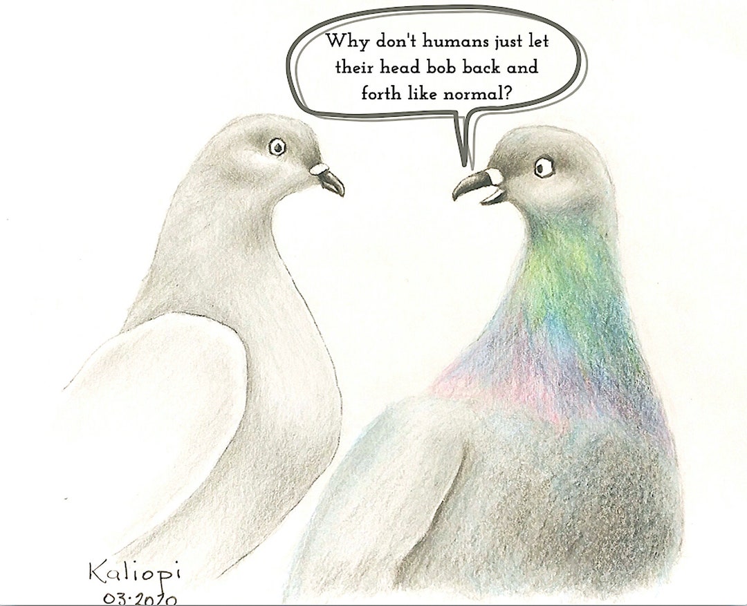 Funny Pigeon Digital Art Print Two Pigeons Talking Etsy