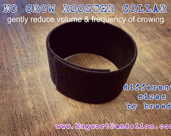 NO CROW ROOSTER collar