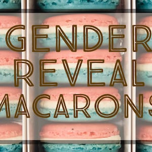 Gender Reveal Macarons 24 pack