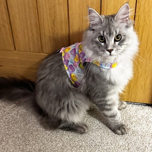 Maine Coon Cat Jackets with D-ring for attaching a lead - Choice of Fabrics