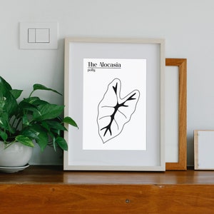 Floral printable, botanical print, floral art, plant décor, line drawing, minimal leaf poster, Alocasia