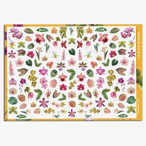 May include: A sheet of nail art decals featuring a variety of orchid designs in shades of pink, purple, yellow, and green. The decals include flowers and leaves, with the text "ORCHID MUSE XL" and "NAIL ART DECALS" on the side.