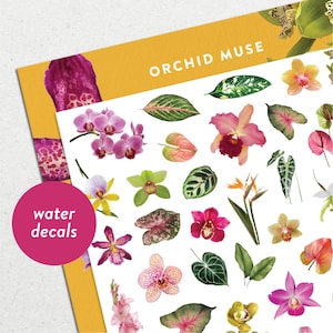 Orchidee Muse • Wasserschiebefolie Nagel Aufkleber Set • Sommer Blumen & Tropische Blätter Nail Art
