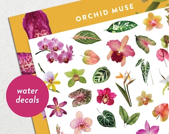 Orchid Muse • Waterslide Nail Decal Set • Summer Flowers & Tropical Leaves Nail Art