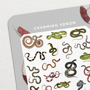 Charming Venom • Waterslide Nail Decal Set • Tropical Snakes Nail Art