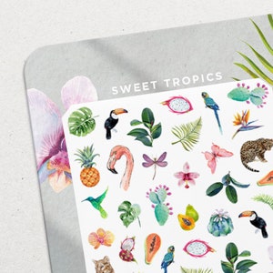 Trópicos Doces • Conjunto de Decalques para Unhas Waterslide • Arte para Unhas com Cactos, Flores e Frutas Tropicais