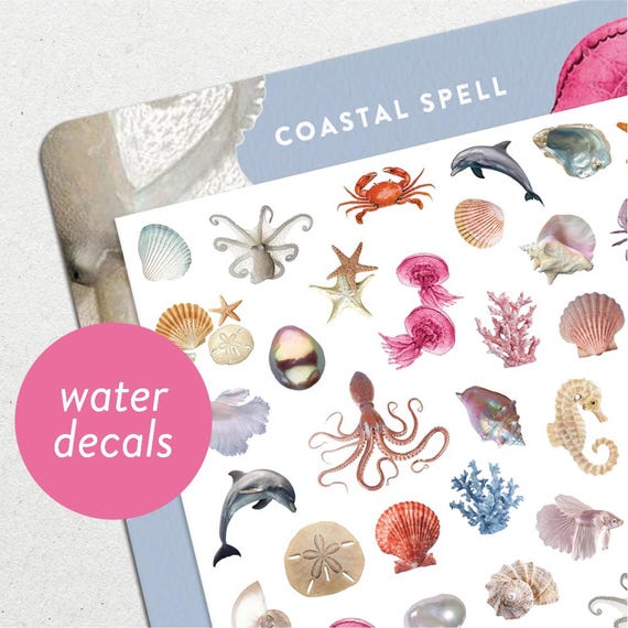 Coastal Spell • Waterslide Nail Decal Set • Ocean, Seashells & Pearl Nail Art