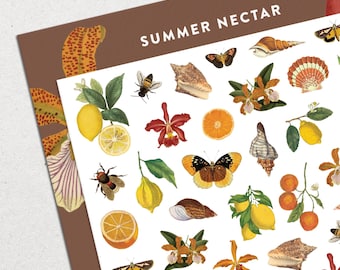 Summer Nectar • Waterslide Nail Decal Set • Butterflies, Orchid & Lemon Seashells Nail Art