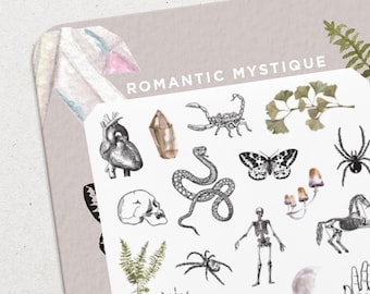 Romantic Mystique • Waterslide Nail Decal Set • Esoteric Snakes & Skulls Nail Art