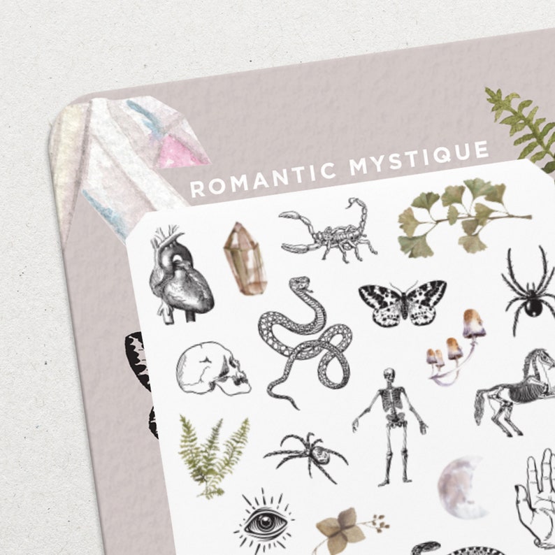 Romantisk Mystik • Nageldekalset med vattenrutschkana • Nagelkonst med esoteriska ormar och dödskallar bild 1