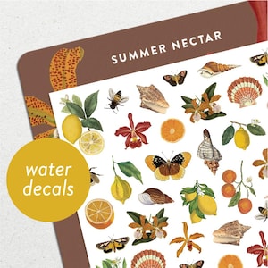 Summer Nectar • Conjunto de decalques para unhas Waterslide • Arte para unhas com borboletas, orquídeas e conchas de limão