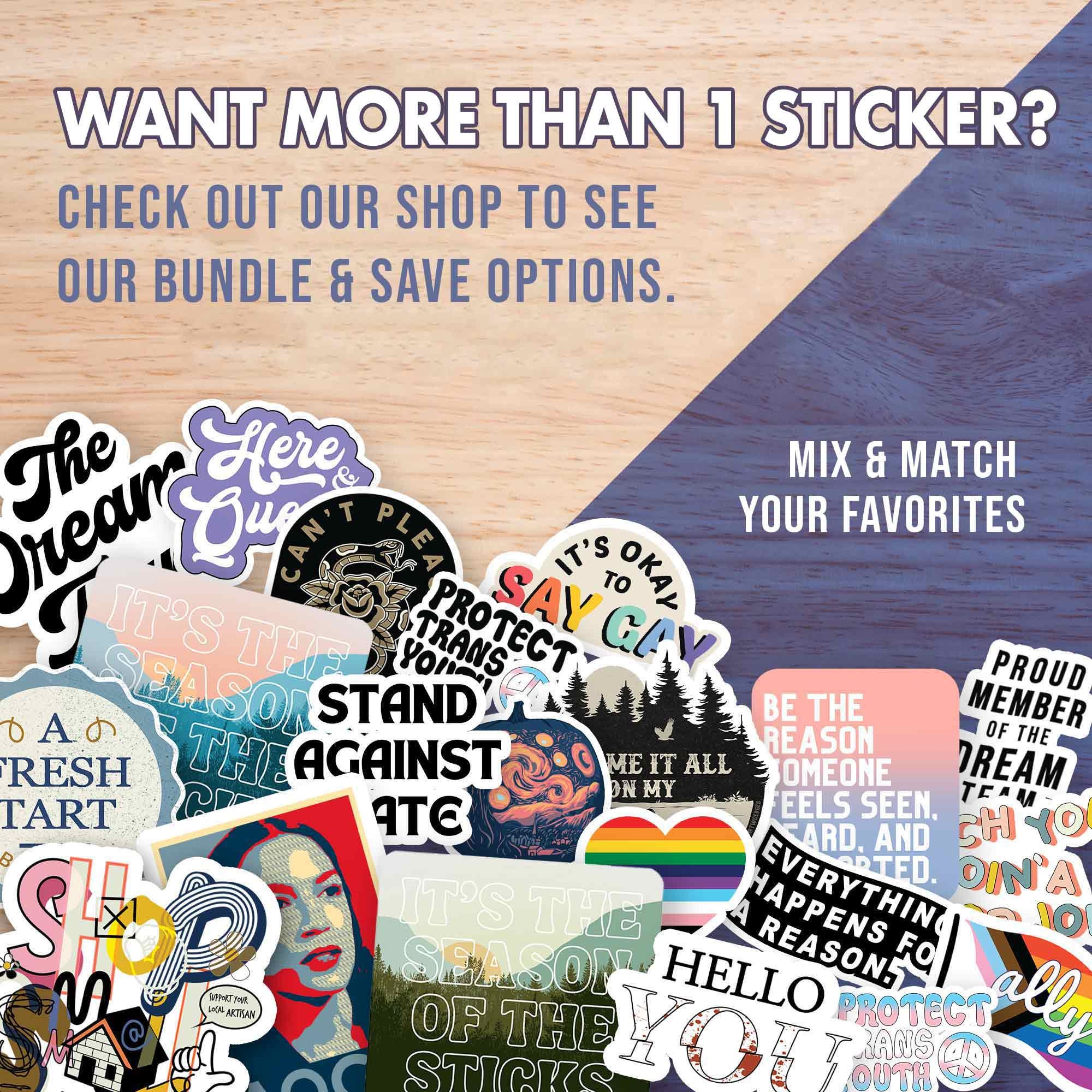 Blame It on My Lesions Matte Vinyl Sticker: Chronic Illness Humor ...