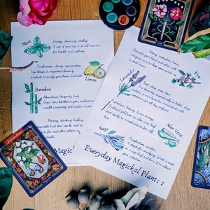 May include: A printable guide to everyday magickal plants, featuring illustrations of mint, lemon, bamboo, lavender, pine, aloe vera, and sage. The guide includes descriptions of the plants' magical properties and uses.