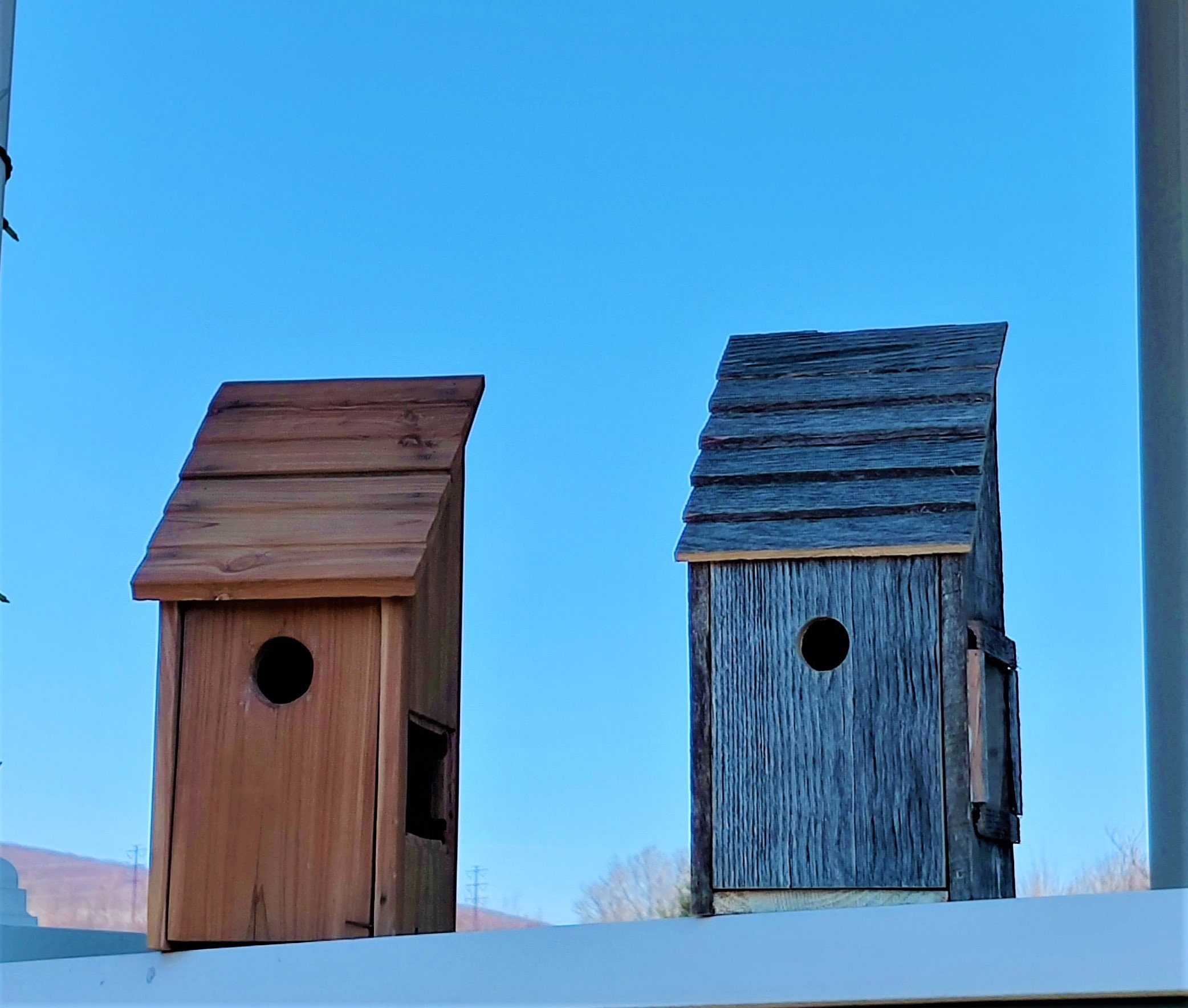 Birdhouse with a window built into the side Watch nests be Etsy
