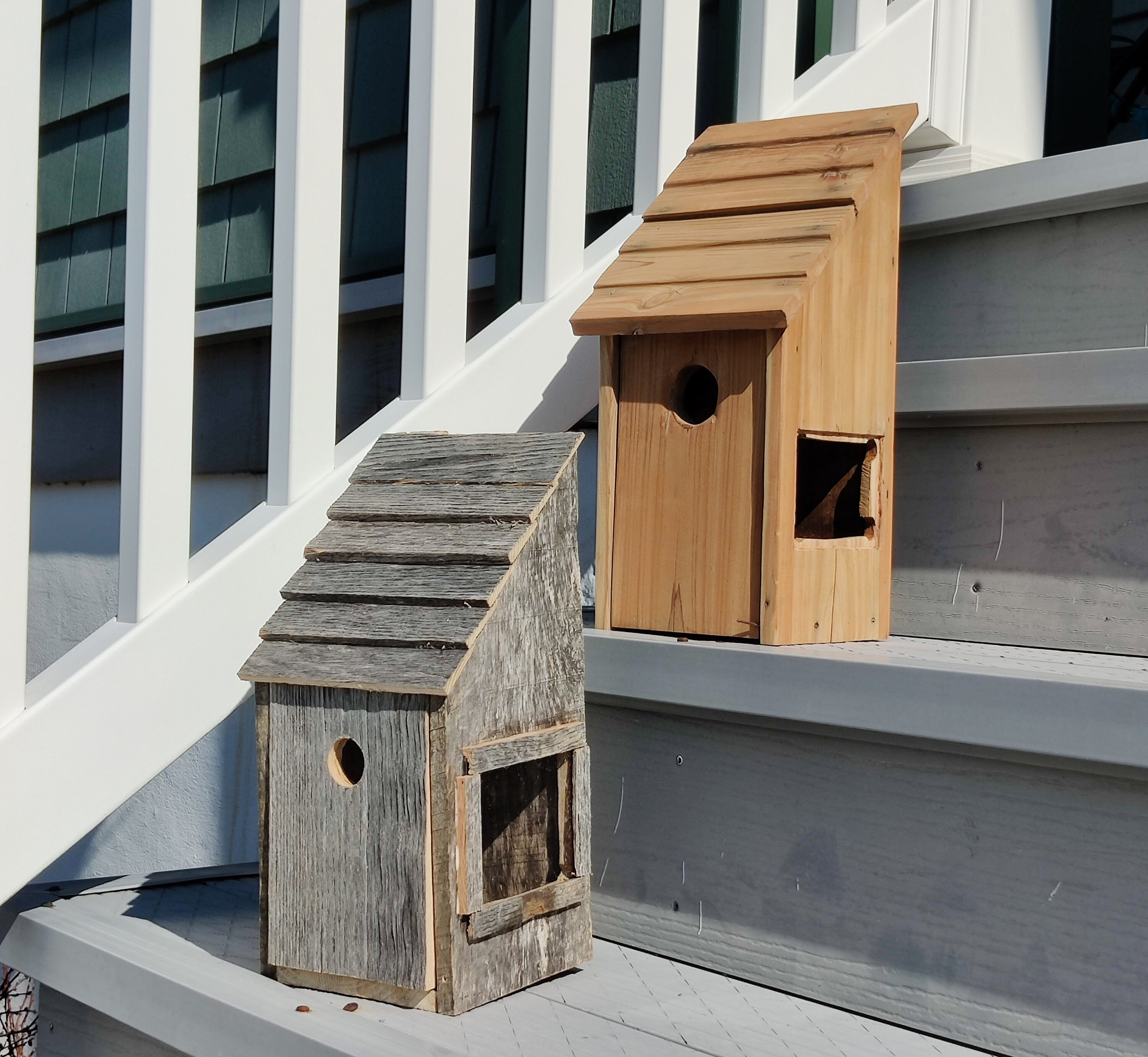 Birdhouse with a window built into the side Watch nests be Etsy