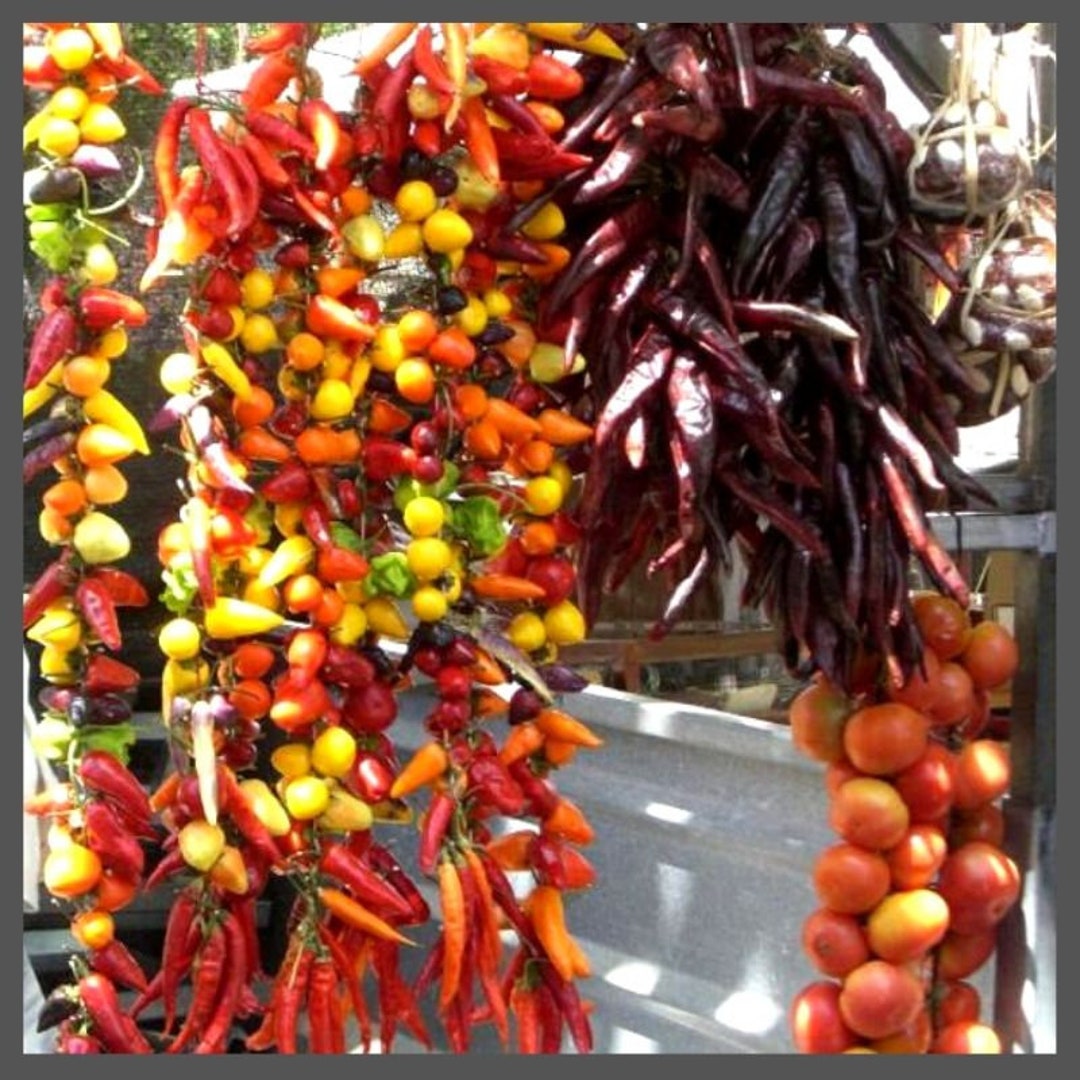 Chilli Pepper Home Decor Chilli Pepper Kitchen Wall Art - Etsy