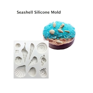 Seashell Silicone Mold, Conch mold, 10 cavities