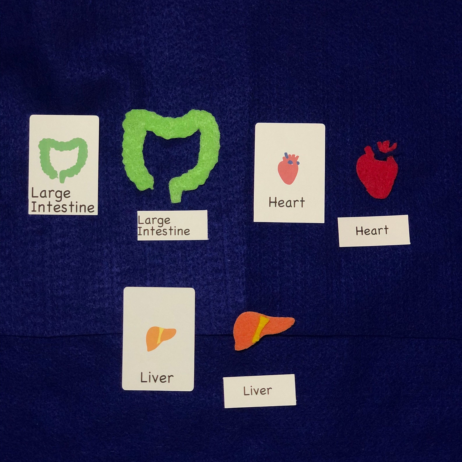 Human Body Felt Puzzle Set With 3 Skin Tones Childrens Etsy