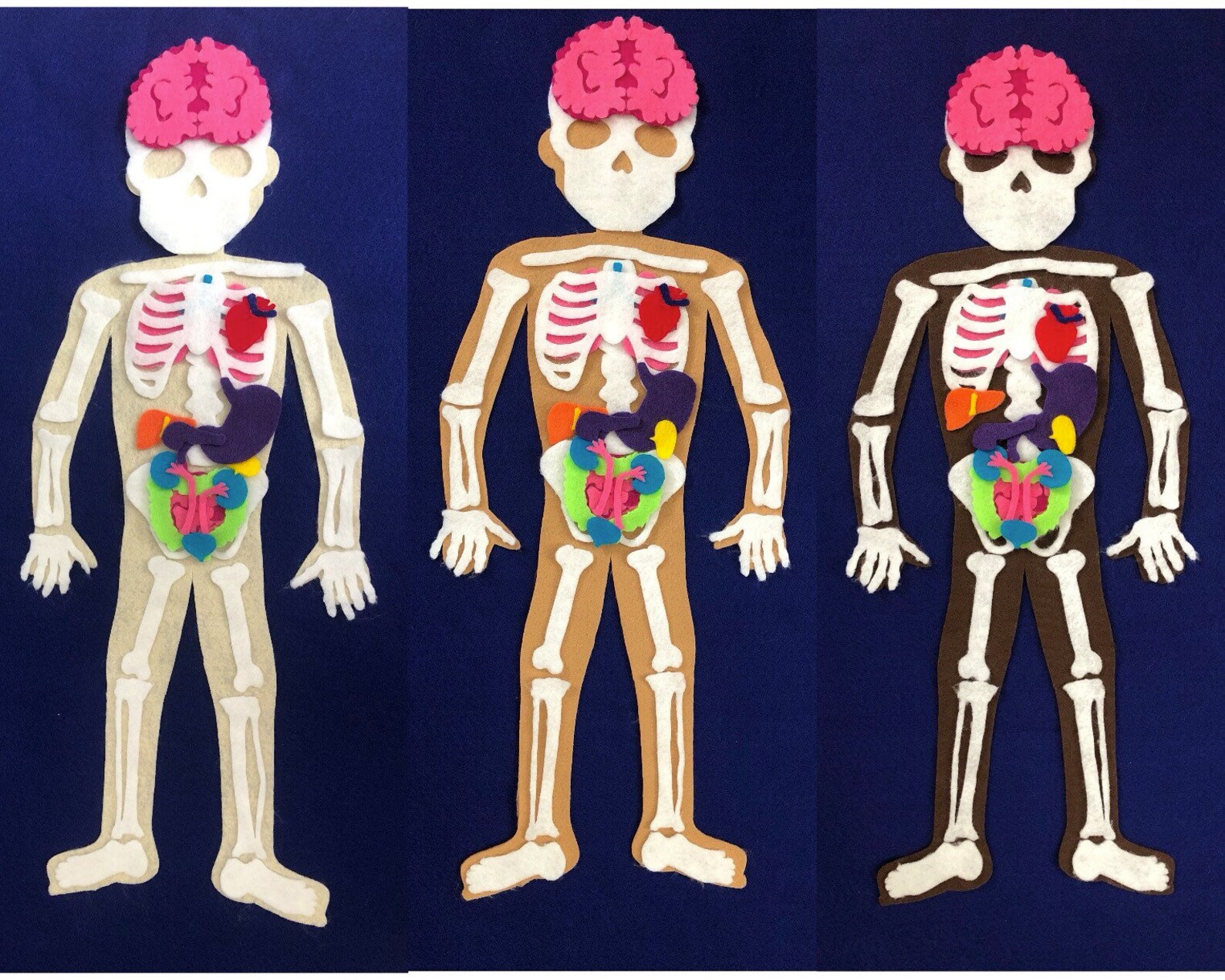 Human Body Felt Puzzle Set With 3 Skin Tones Childrens Etsy