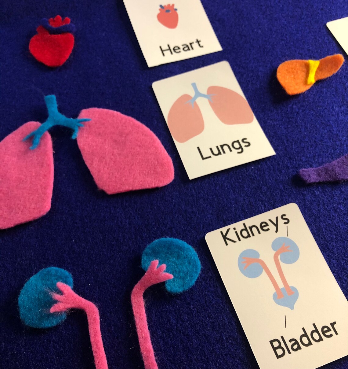 Human body felt puzzle set with 3 skin tones childrens Etsy