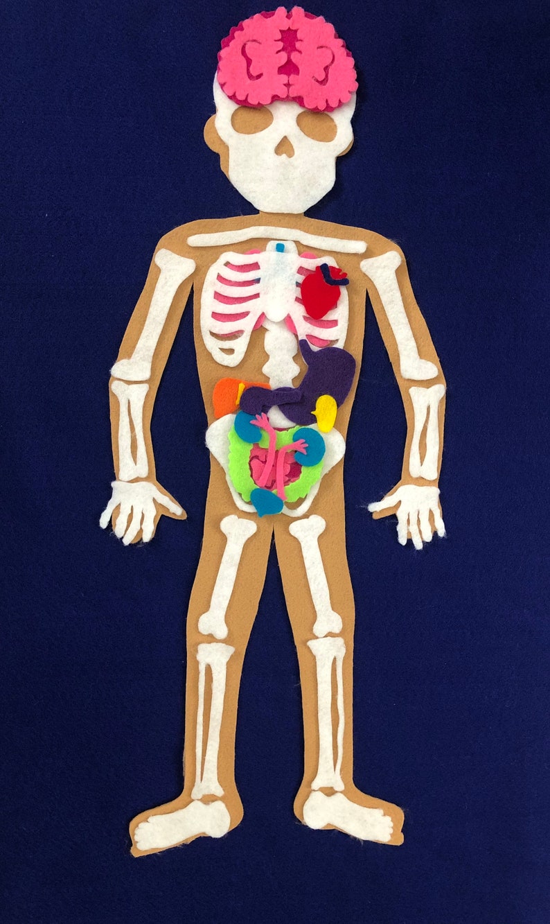 Human Body Felt Puzzle Set With 3 Skin Tones Childrens Etsy