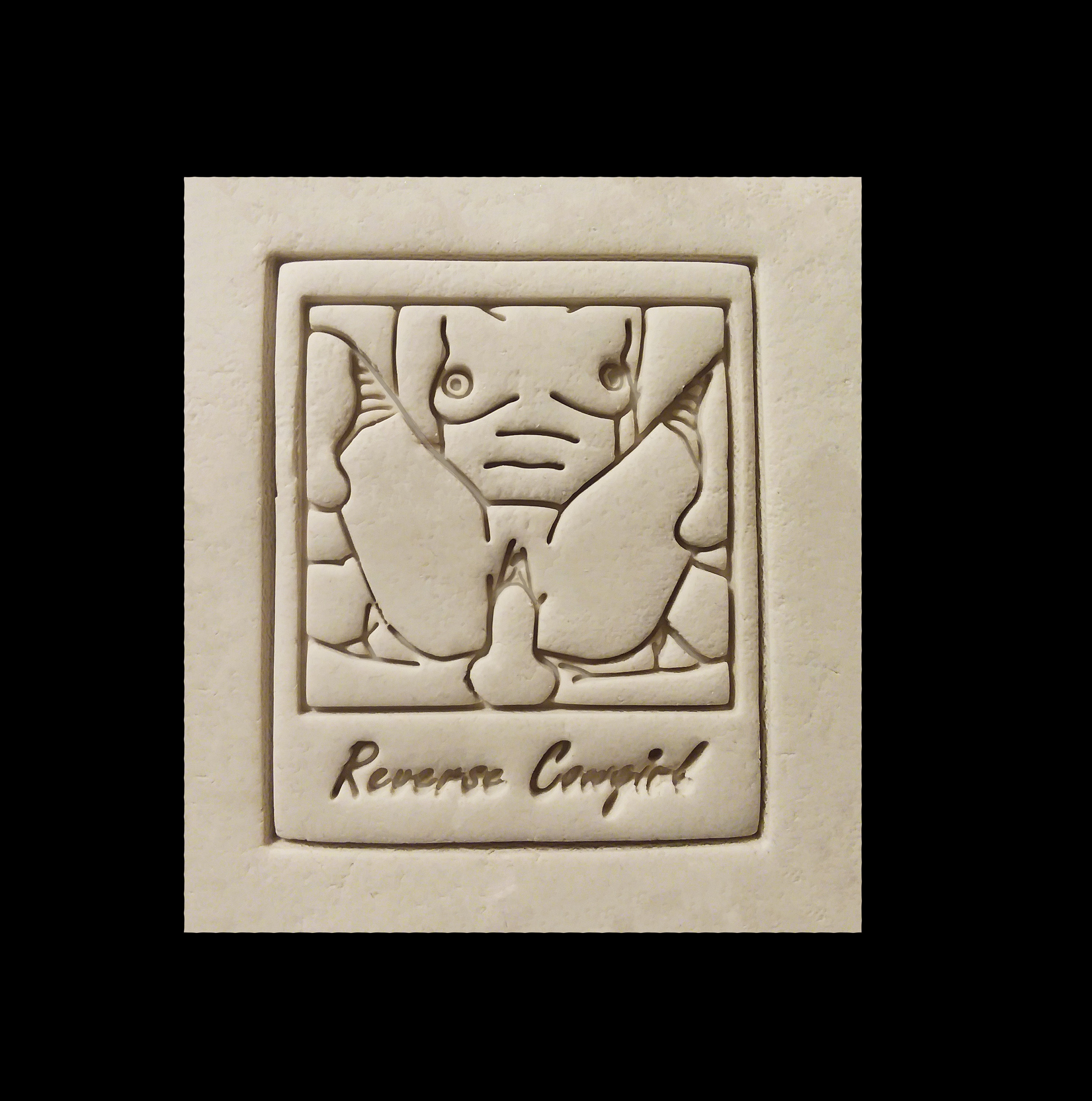 MATURE Reverse Cowgirl Sex Position Naughty Photos 3d - Etsy UK