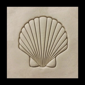 May include: A white seashell with a raised, detailed design. The shell is embossed on a light beige surface.