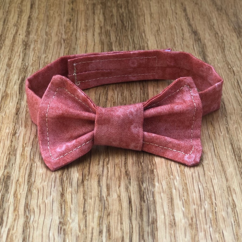 Ginger Cat Bow Tie