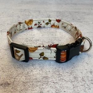 Autumn Dog Collar