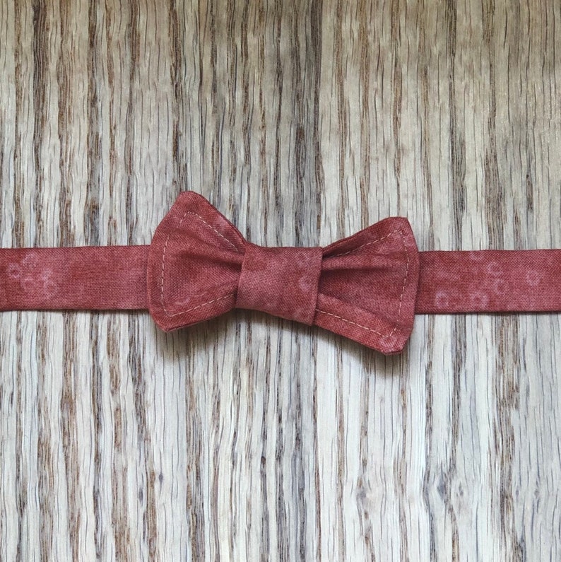 Ginger Cat Bow Tie