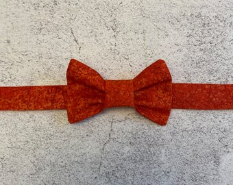 Morris Cat Bow Tie