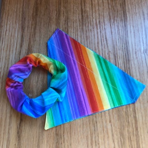 Pride Scrunchie & Bandana
