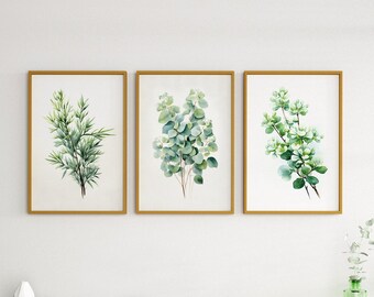 Juego de 3 impresiones de acuarela de eucalipto, arte mural botánico (descarga digital)
