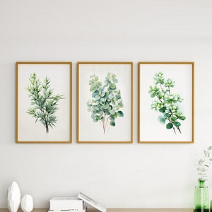 Botanical Prints Set of 3, Eucalyptus Print, Watercolor Botanical Prints,Gallery Wall Art,Living Room Wall Art,Botanical Printable Wall Art