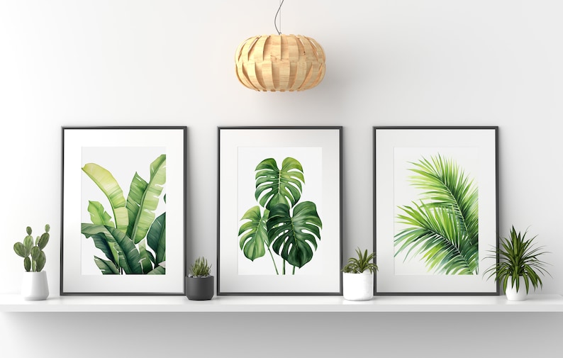 K&ouml;nnte beinhalten: Drei gerahmte Aquarelldrucke von tropischen Pflanzen. Die Drucke zeigen ein Bananenblatt, ein Monsterablatt und einen Palmwedel. Die Drucke werden auf einem wei&szlig;en Regal vor einer wei&szlig;en Wand ausgestellt.