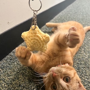 Crochet Star Keychain