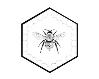 Hexagon 8x8 Bee Art Print