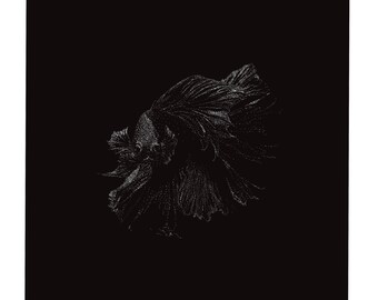 Impresión de arte de pescado betta de 8x8 pulgadas en blanco y negro