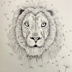 Dandy Lion 8 x 10 original graphite drawing