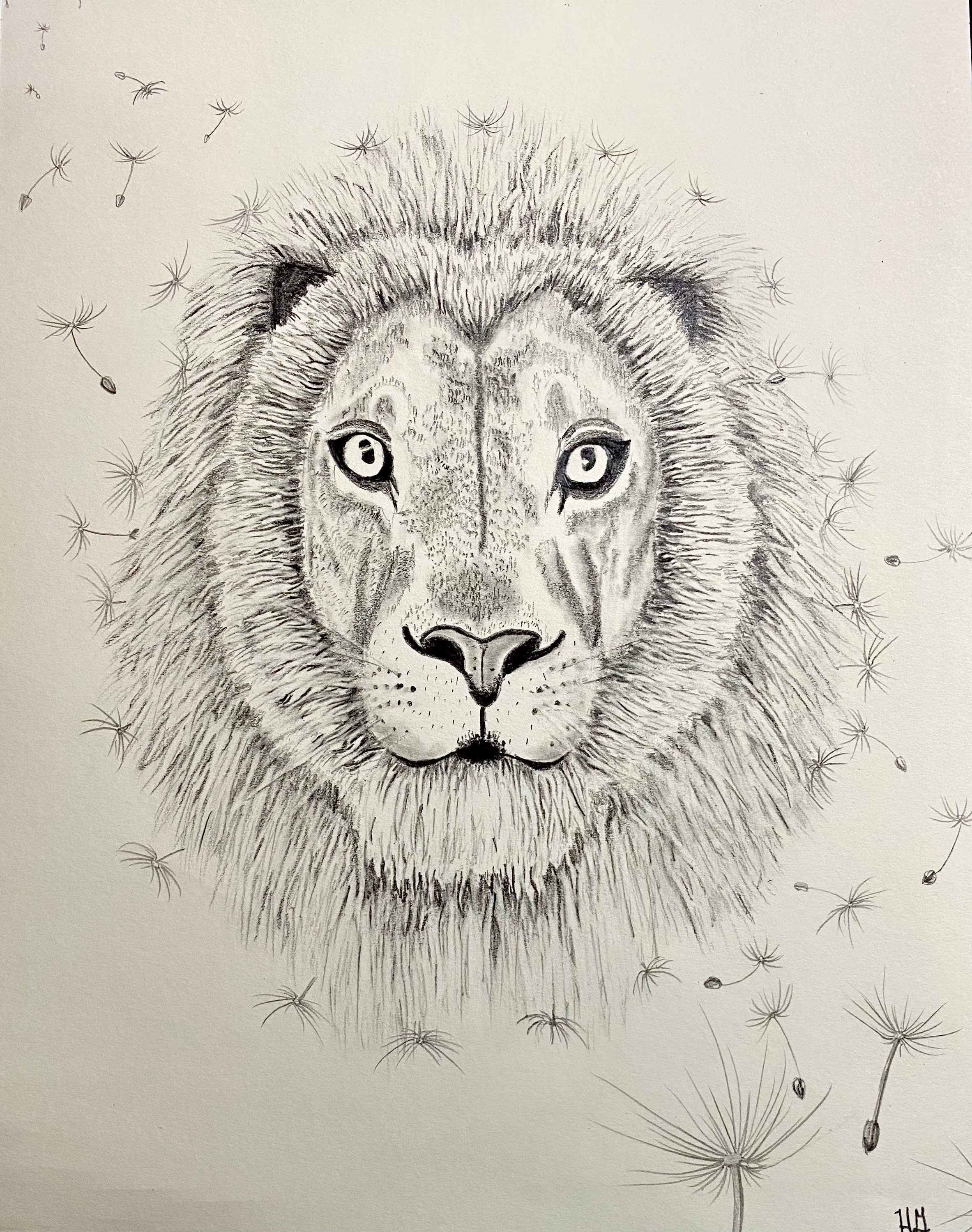 dande lion A_DandyLion_Flowers_and_Meadow