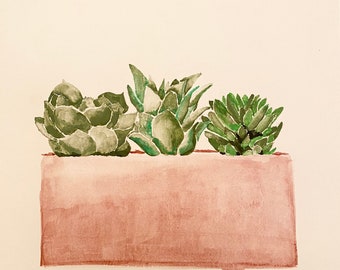 Orignal Painting Succulent planter Watercolor painting 9 x 9