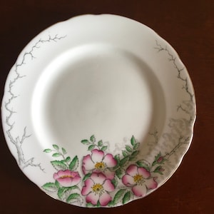 1 of 6 Hammersley Rose of England cake or snack plate; Hammersley Wild Rose plate