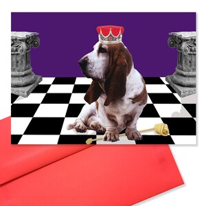 Rulius Caninus, Votre Altesse Royale - Carte de vœux colorée et mignonne de sympathie pour chien avec message intérieur